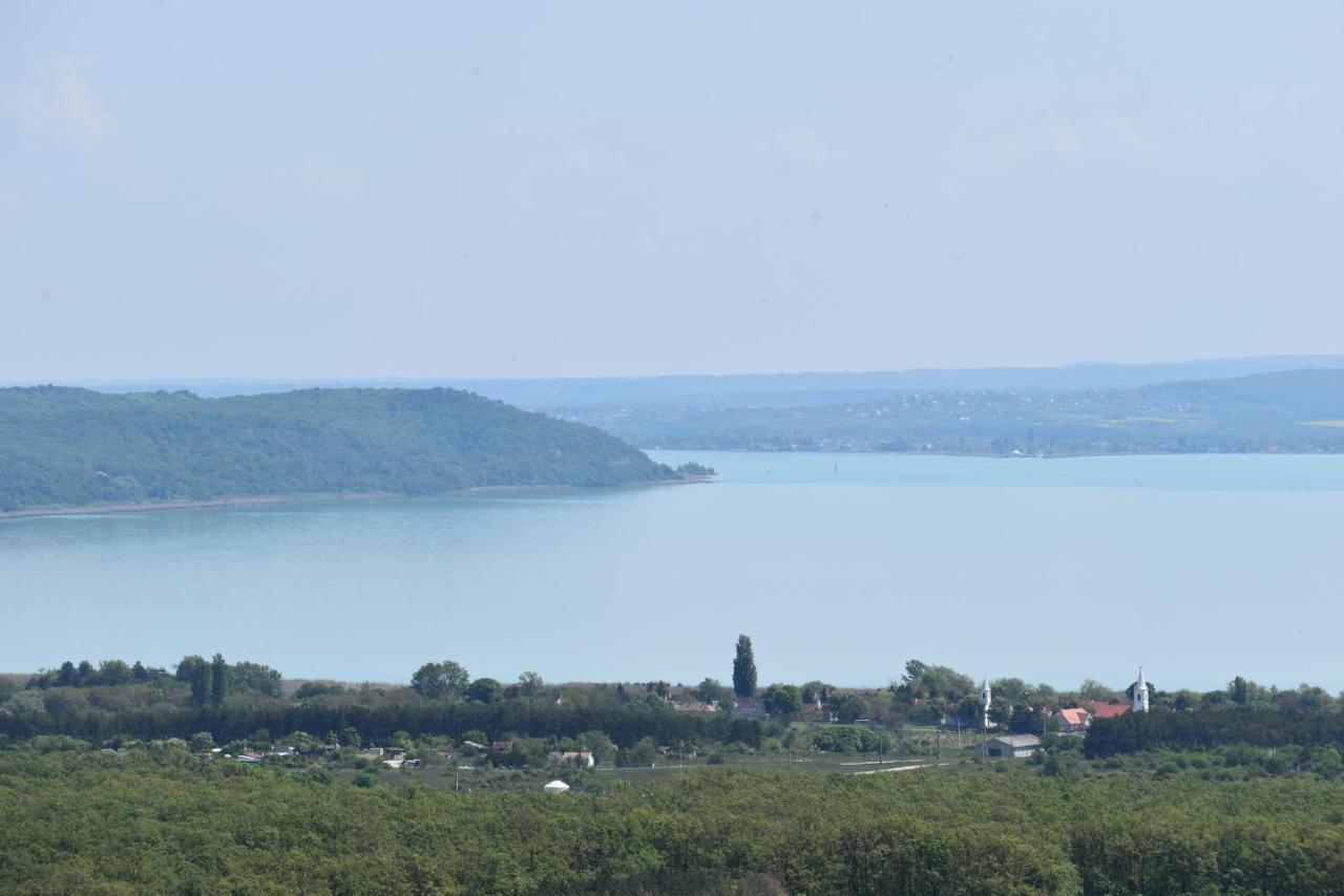 Villa Sauna & Jakuzzi Kisleshegy Vendeghaz