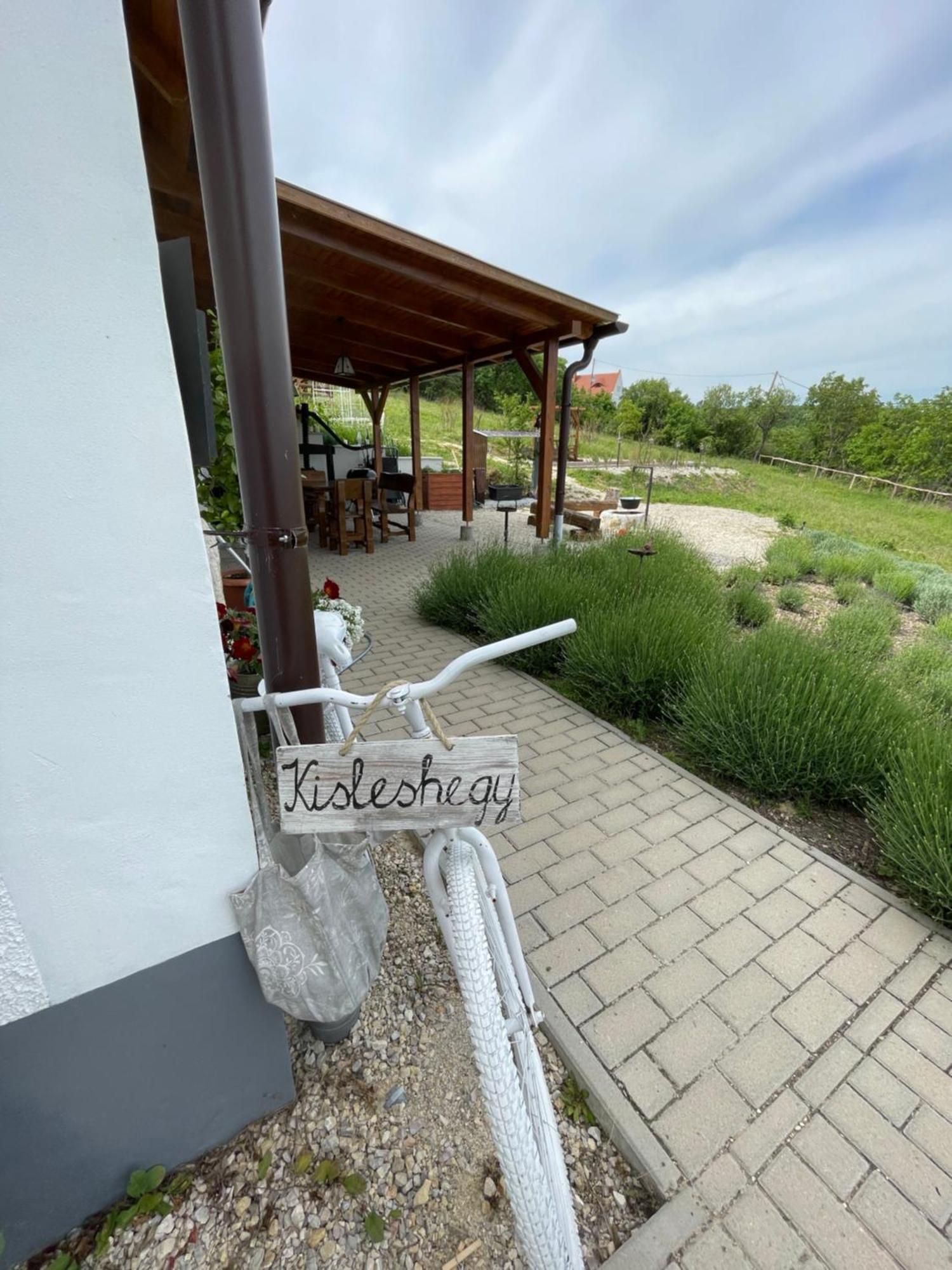 Sauna & Jakuzzi Kisleshegy Vendeghaz Villa Dorgicse