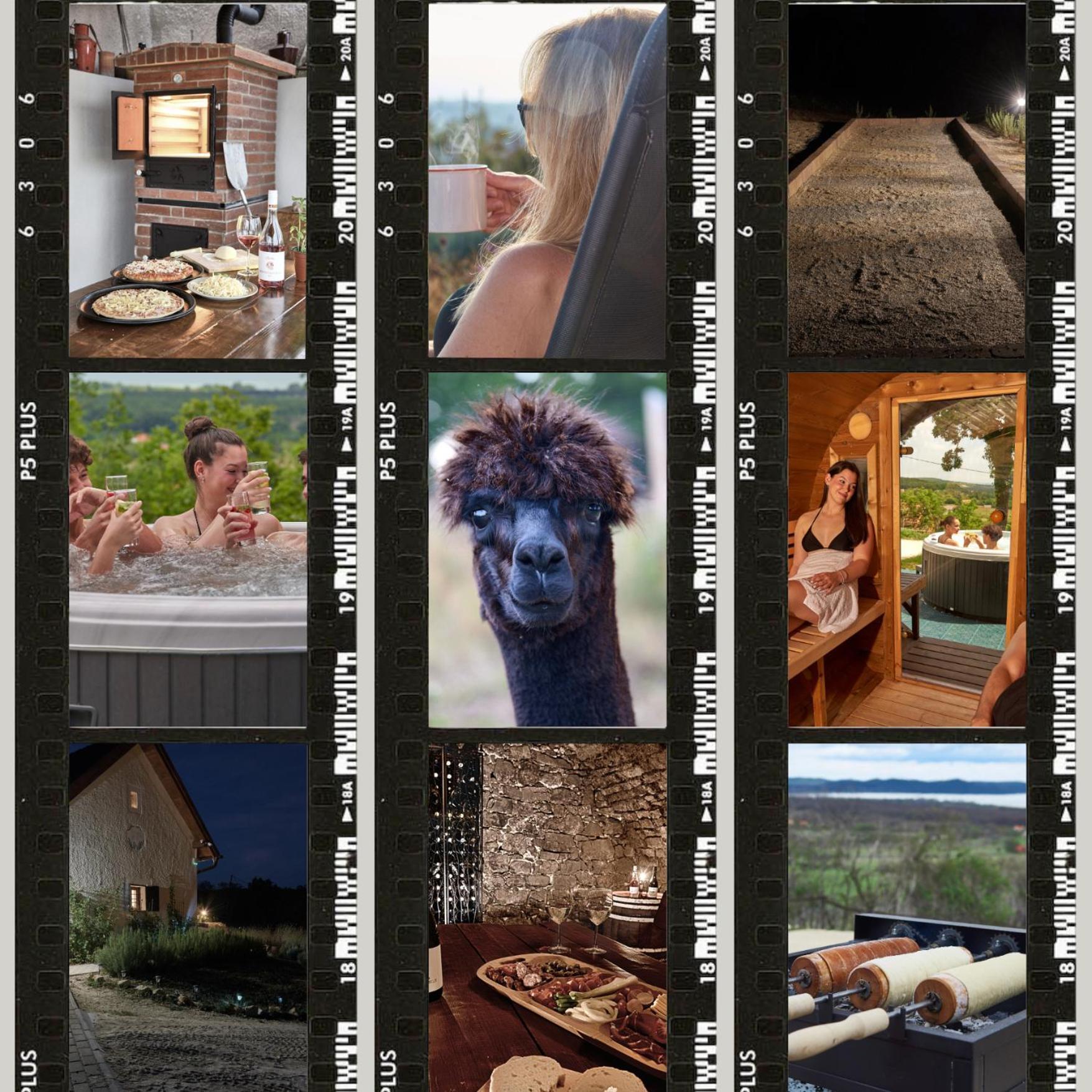 Sauna & Jakuzzi Kisleshegy Vendeghaz Dorgicse